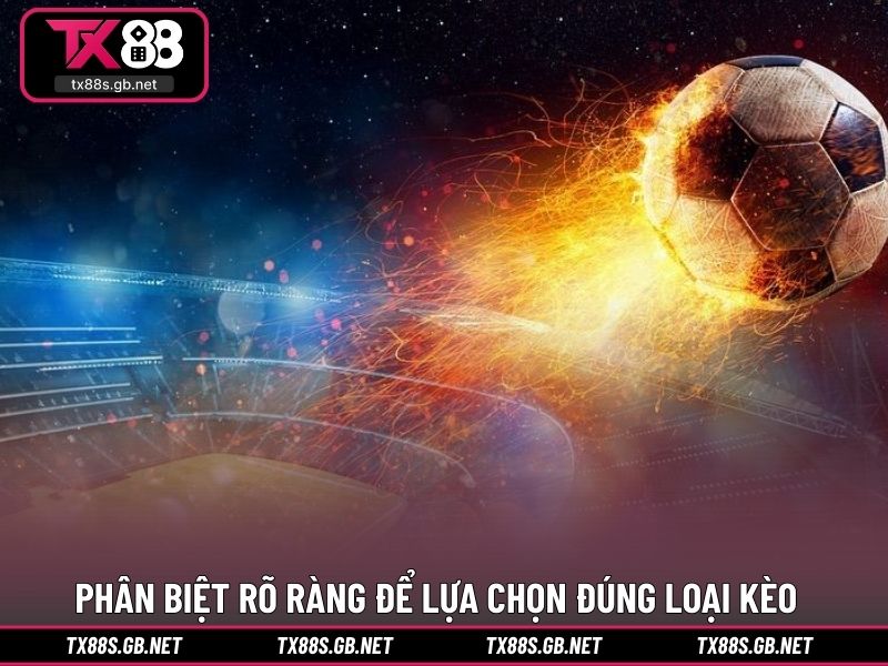 Phân biệt rõ ràng để lựa chọn đúng loại kèo